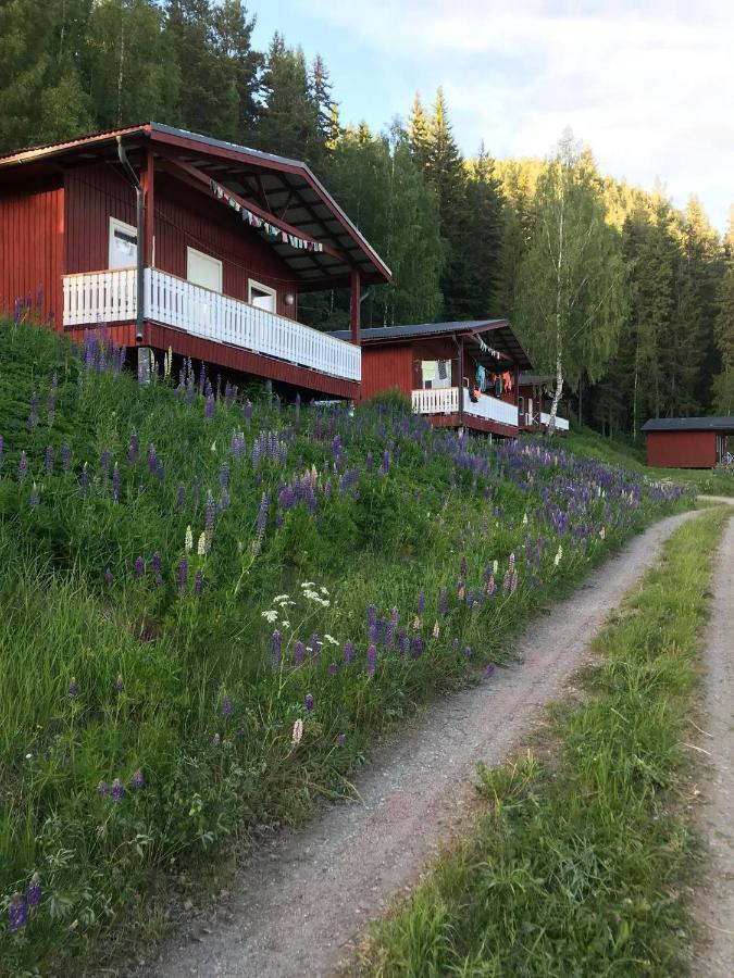 Utsiktens Turistgard Järkvitsle Exteriér fotografie